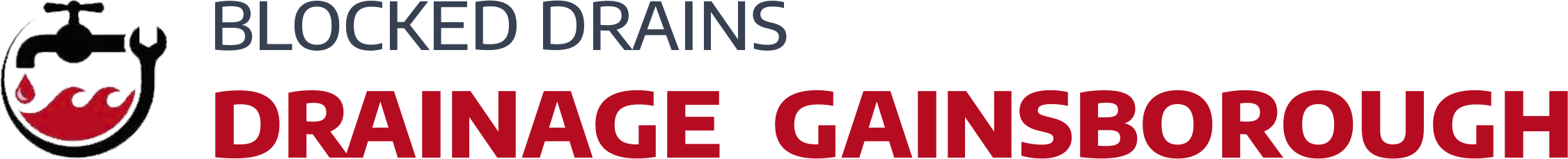 website logo